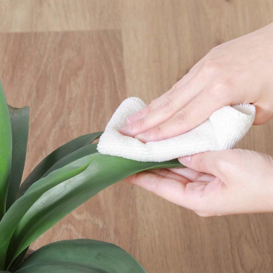 不二貿易 フェイクグリーン アガベ セメントポット グリーン 41135 | 不二貿易 | 02