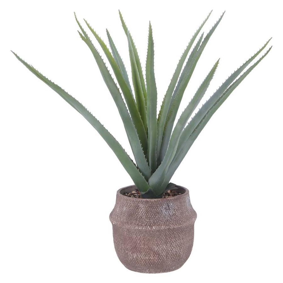 不二貿易 フェイクグリーン アロエ Mサイズ セメントポット グリーン 41136 | 不二貿易