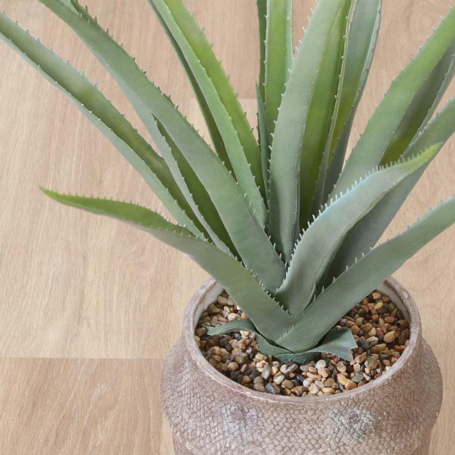 不二貿易 フェイクグリーン アロエ Mサイズ セメントポット グリーン 41136 | 不二貿易 | 01