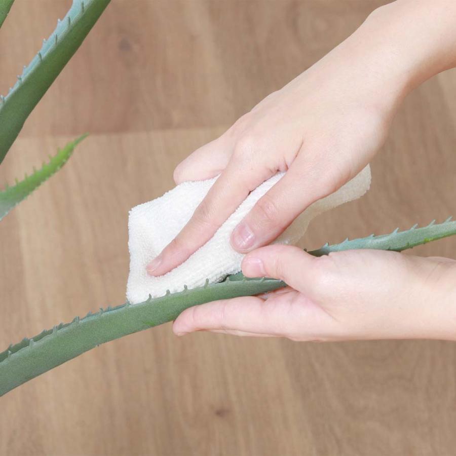 不二貿易 フェイクグリーン アロエ Mサイズ セメントポット グリーン 41136 | 不二貿易 | 02