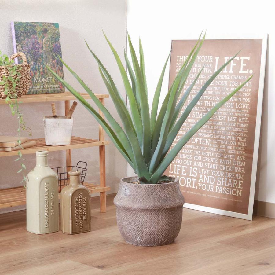 不二貿易 フェイクグリーン アロエ Mサイズ セメントポット グリーン 41136 | 不二貿易 | 05