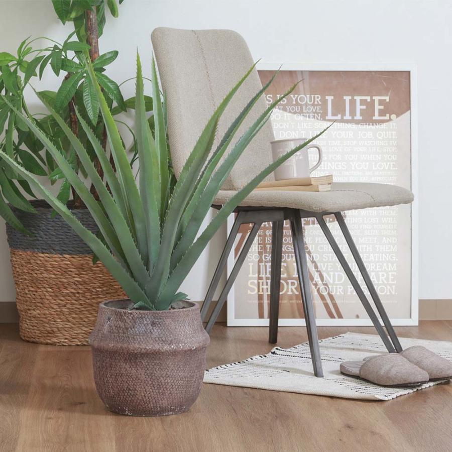 不二貿易 フェイクグリーン アロエ Mサイズ セメントポット グリーン 41136 | 不二貿易 | 06