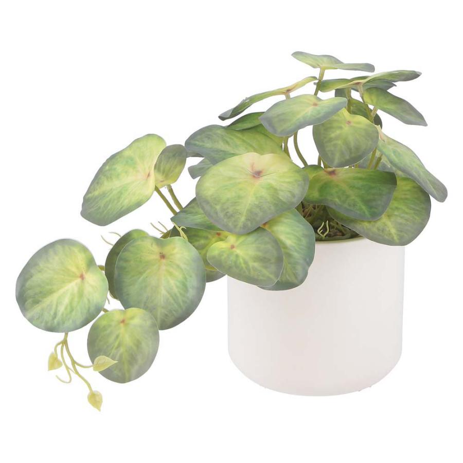 不二貿易 フェイクグリーン シンゴニウム セラミックポット グリーン 41137 | 不二貿易