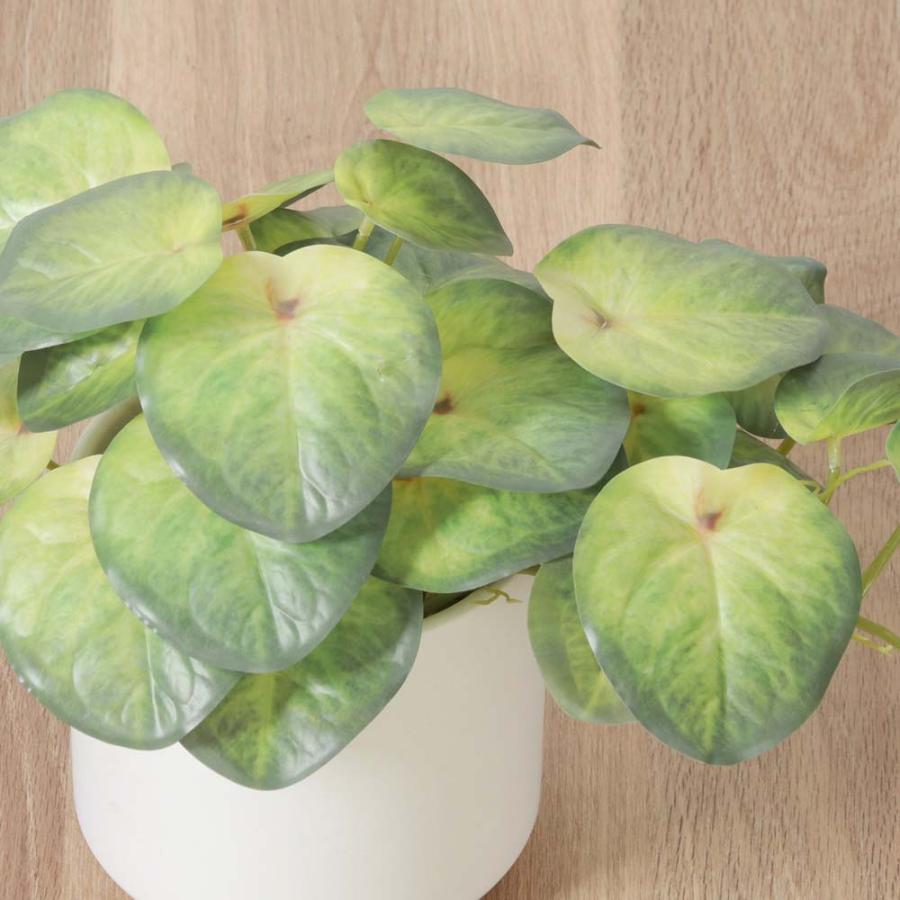 不二貿易 フェイクグリーン シンゴニウム セラミックポット グリーン 41137 | 不二貿易 | 01