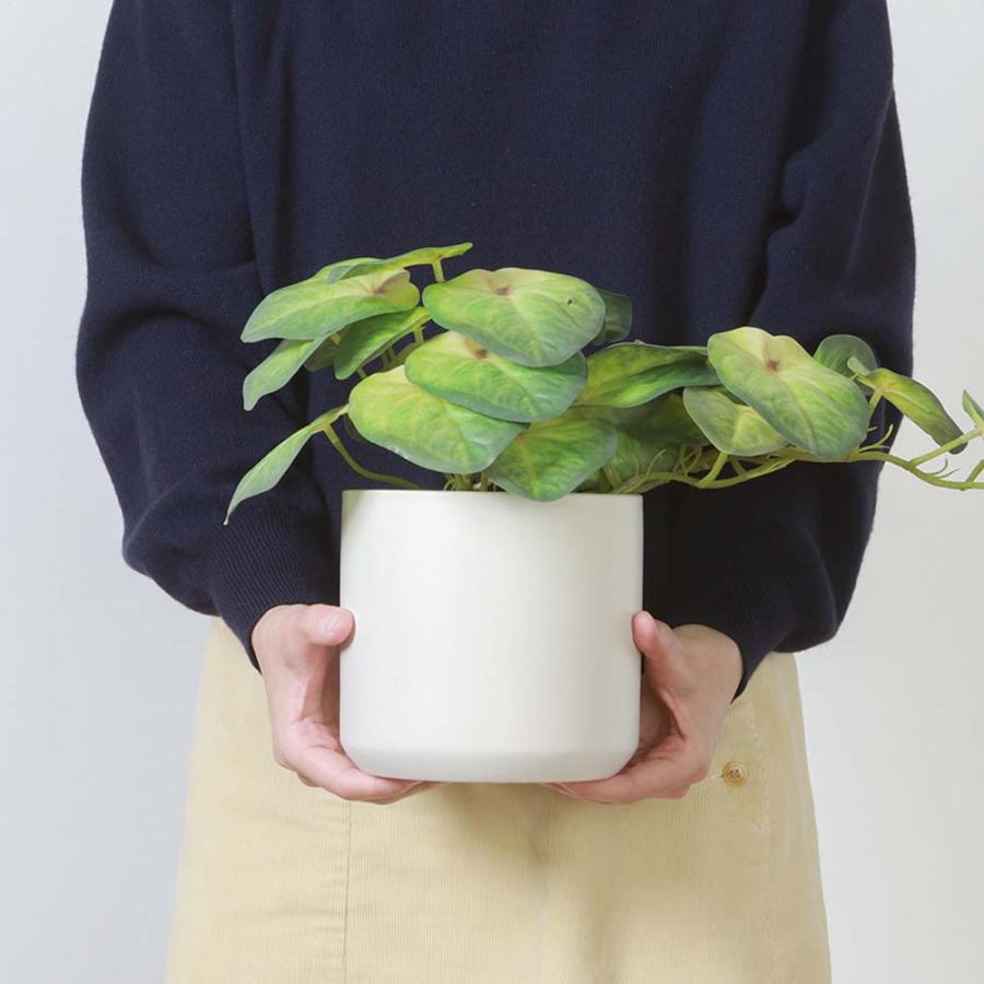 不二貿易 フェイクグリーン シンゴニウム セラミックポット グリーン 41137 | 不二貿易 | 03