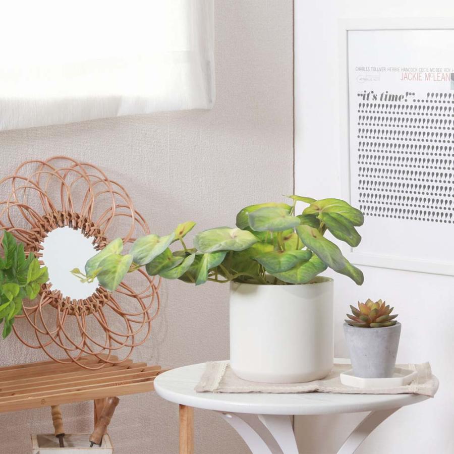 不二貿易 フェイクグリーン シンゴニウム セラミックポット グリーン 41137 | 不二貿易 | 05