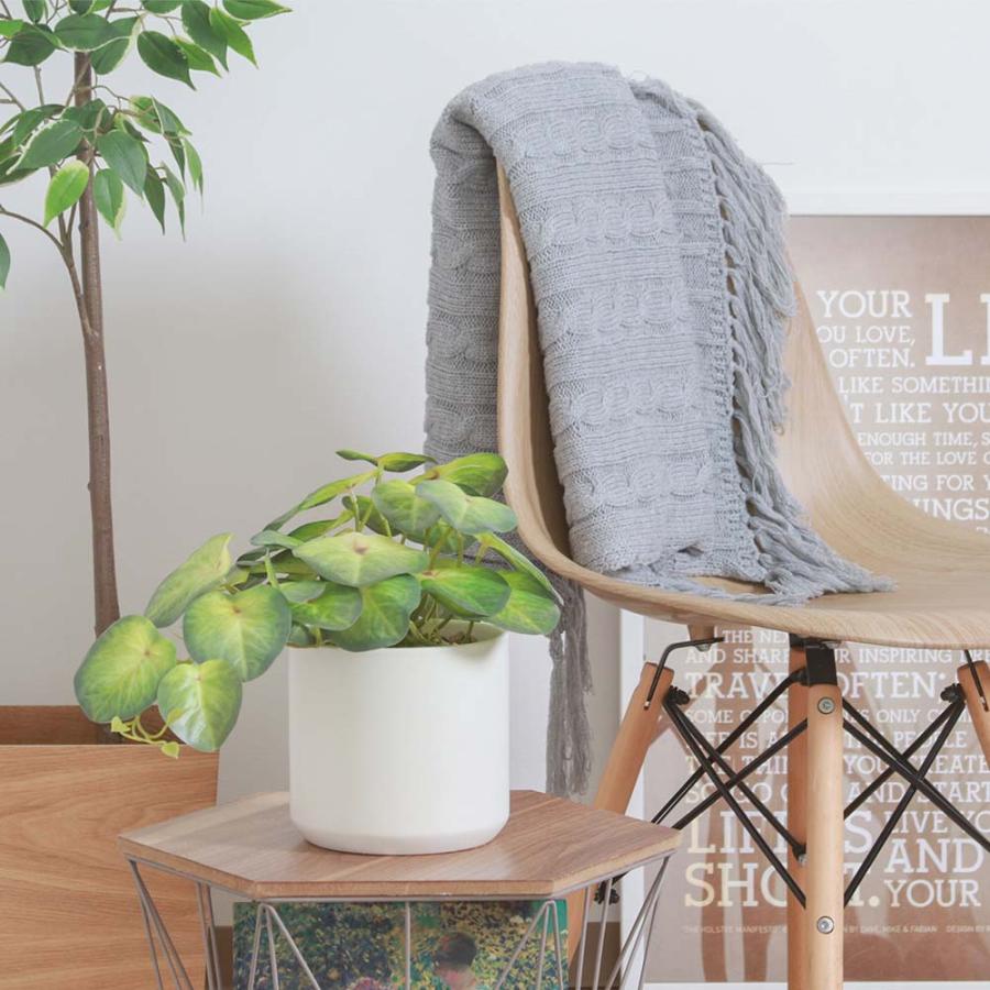 不二貿易 フェイクグリーン シンゴニウム セラミックポット グリーン 41137 | 不二貿易 | 06