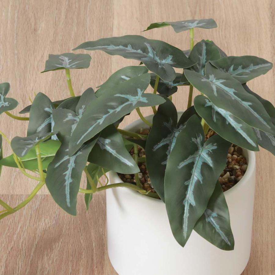 不二貿易 フェイクグリーン アロカシア セラミックポット グリーン 41138 | 不二貿易 | 01