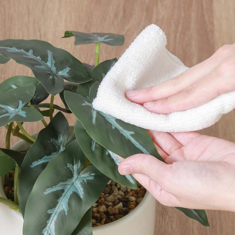 不二貿易 フェイクグリーン アロカシア セラミックポット グリーン 41138 | 不二貿易 | 02