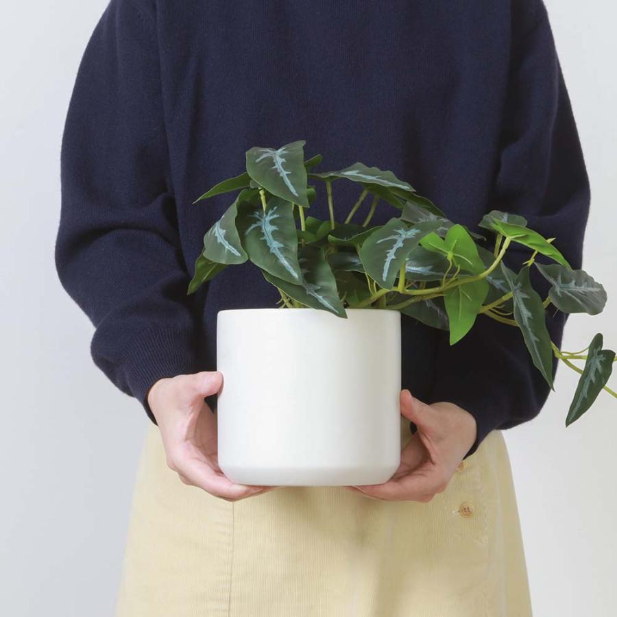 不二貿易 フェイクグリーン アロカシア セラミックポット グリーン 41138 | 不二貿易 | 03