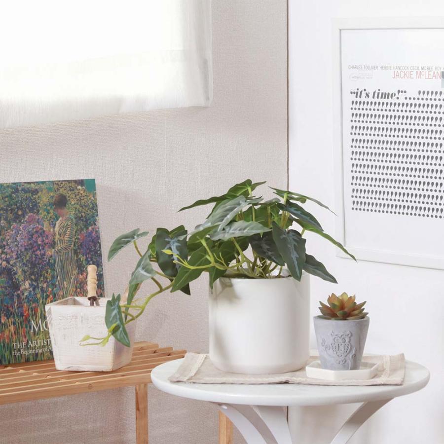 不二貿易 フェイクグリーン アロカシア セラミックポット グリーン 41138 | 不二貿易 | 05