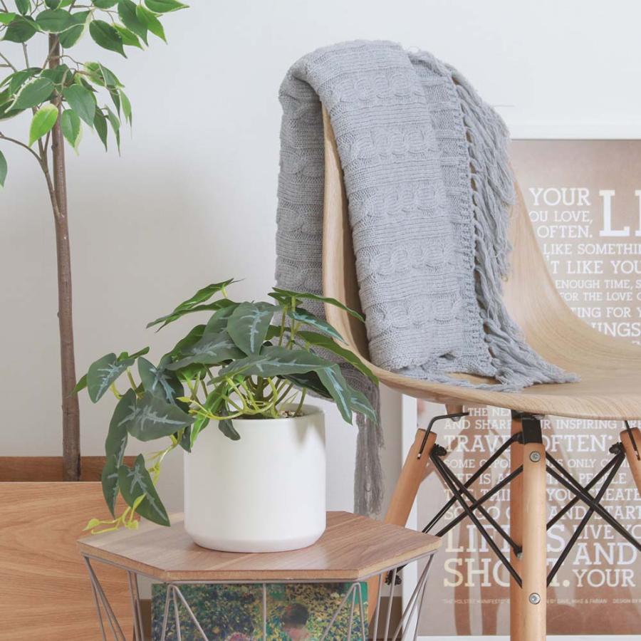 不二貿易 フェイクグリーン アロカシア セラミックポット グリーン 41138 | 不二貿易 | 06