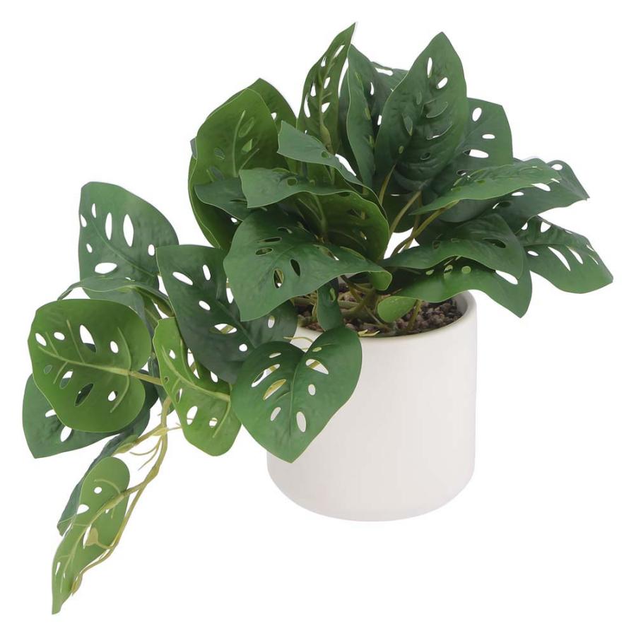 不二貿易 フェイクグリーン モンステラ セラミックポット グリーン 41139 | 不二貿易