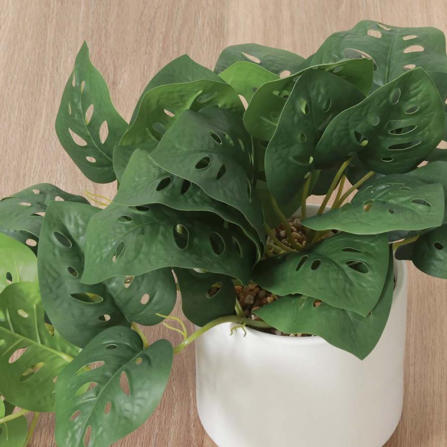 不二貿易 フェイクグリーン モンステラ セラミックポット グリーン 41139 | 不二貿易 | 01