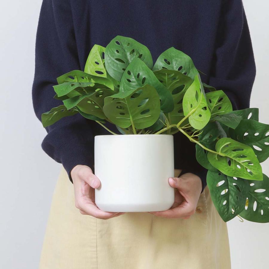 不二貿易 フェイクグリーン モンステラ セラミックポット グリーン 41139 | 不二貿易 | 03