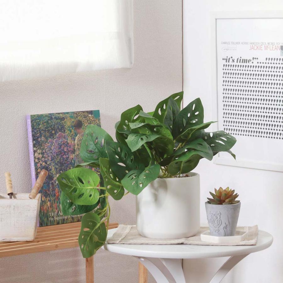 不二貿易 フェイクグリーン モンステラ セラミックポット グリーン 41139 | 不二貿易 | 05