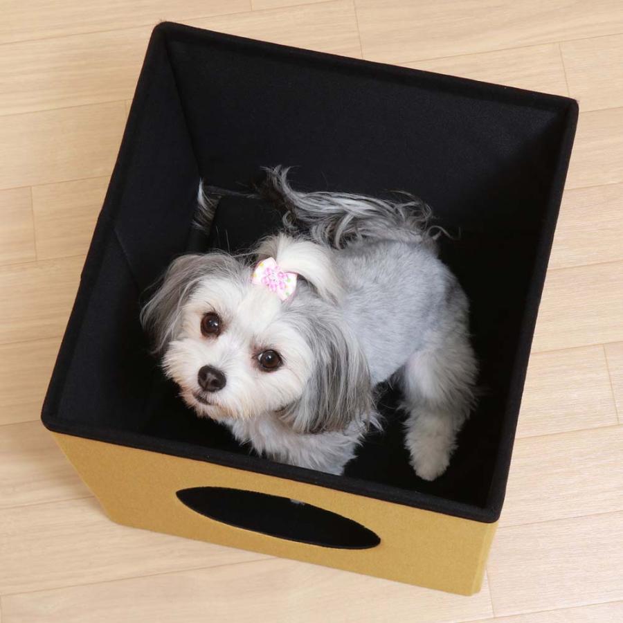 不二貿易 ペットハウスキューブ2段 レッド / イエロー 53711 | 不二貿易 | 05