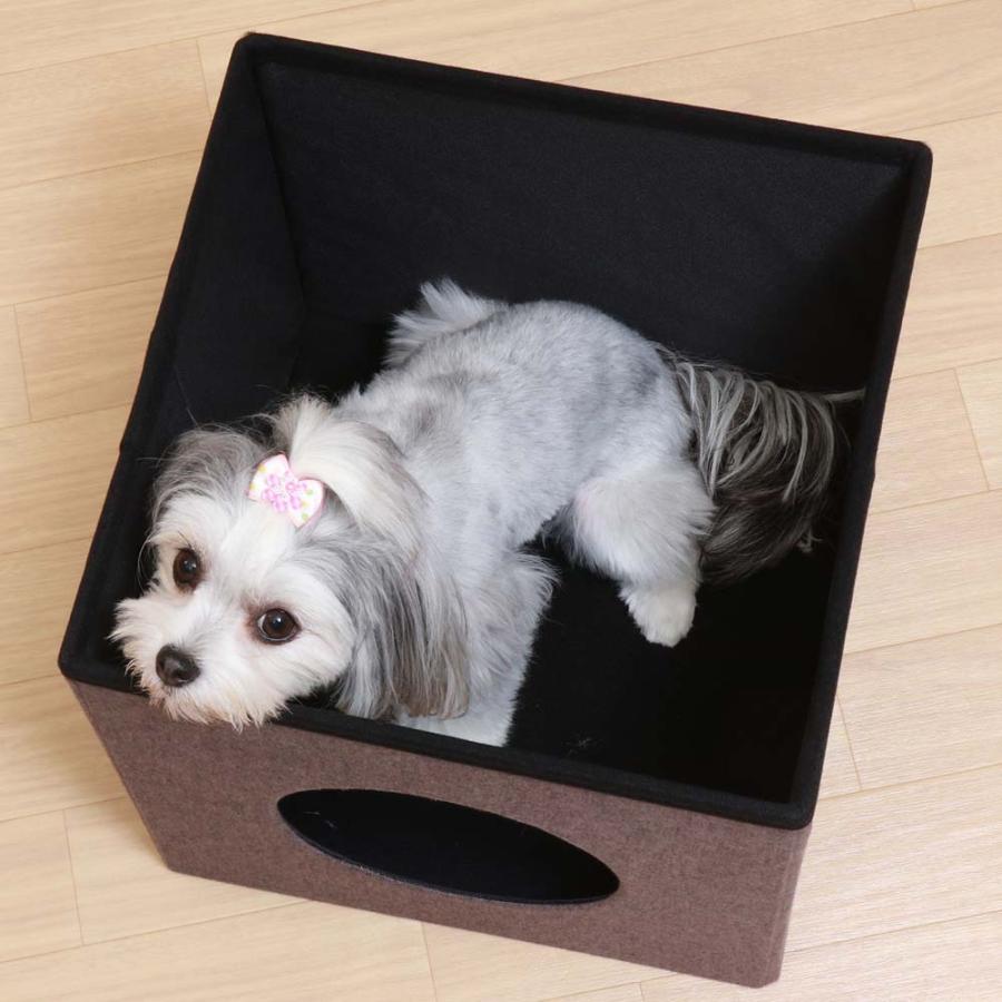 不二貿易 ペットハウスキューブ2段 ブルー / ブラウン 53712 | 不二貿易 | 05