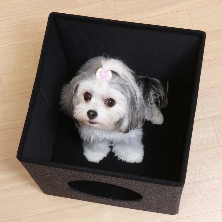 不二貿易 ペットハウスキューブ2段 グレー / ブラック 53713 | 不二貿易 | 05