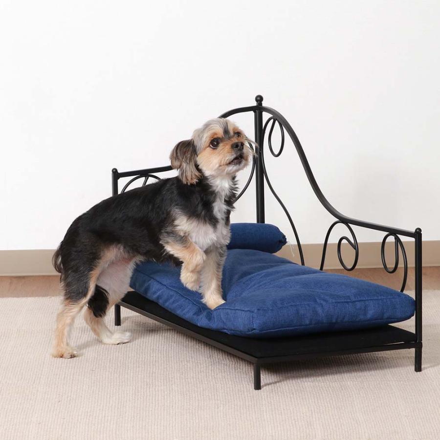 不二貿易 ペットデイベッド ブラック / ブルー 45227 | 不二貿易 | 05