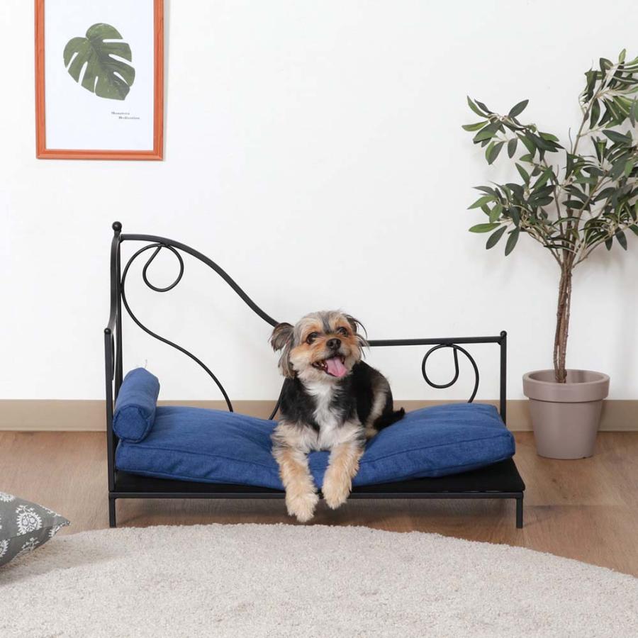 不二貿易 ペットデイベッド ブラック / ブルー 45227 | 不二貿易 | 06