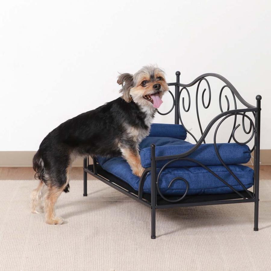 不二貿易 ペットデイベッド ブラック / ブルー 45228 | 不二貿易 | 05
