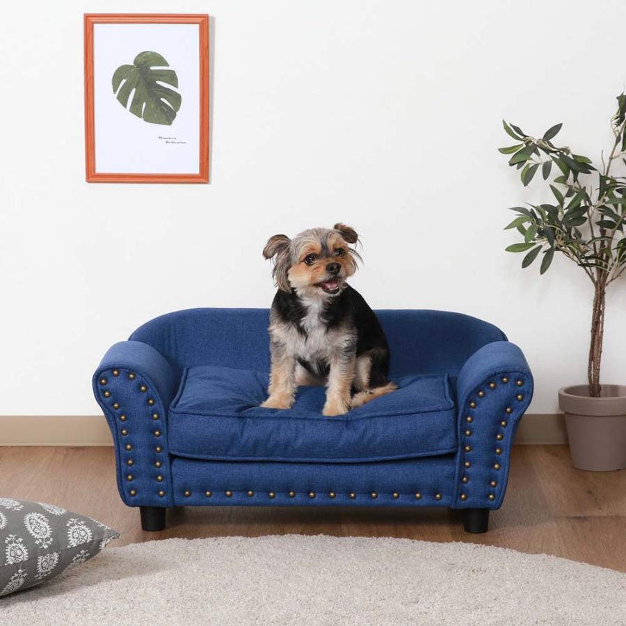 不二貿易 ペットカウチソファ(チェスターフィールド風) ブルー 45232 | 不二貿易 | 06
