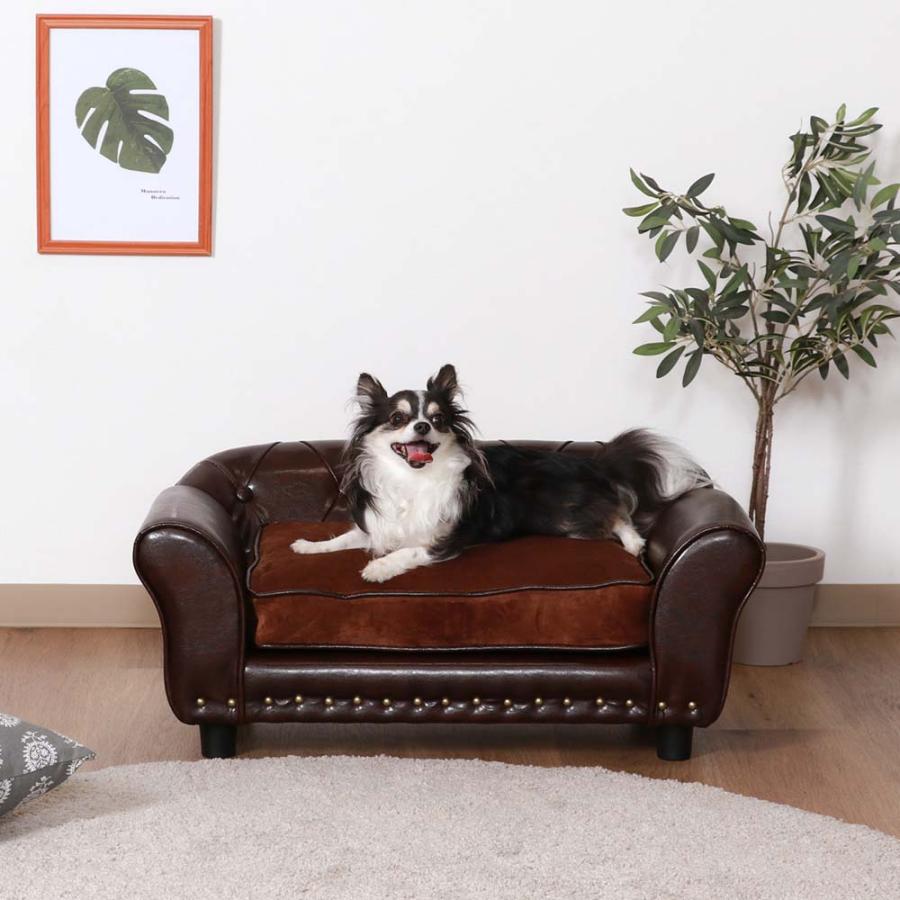 不二貿易 ペットカウチソファ(チェスターフィールド風) ブラウン 45233 | 不二貿易 | 06