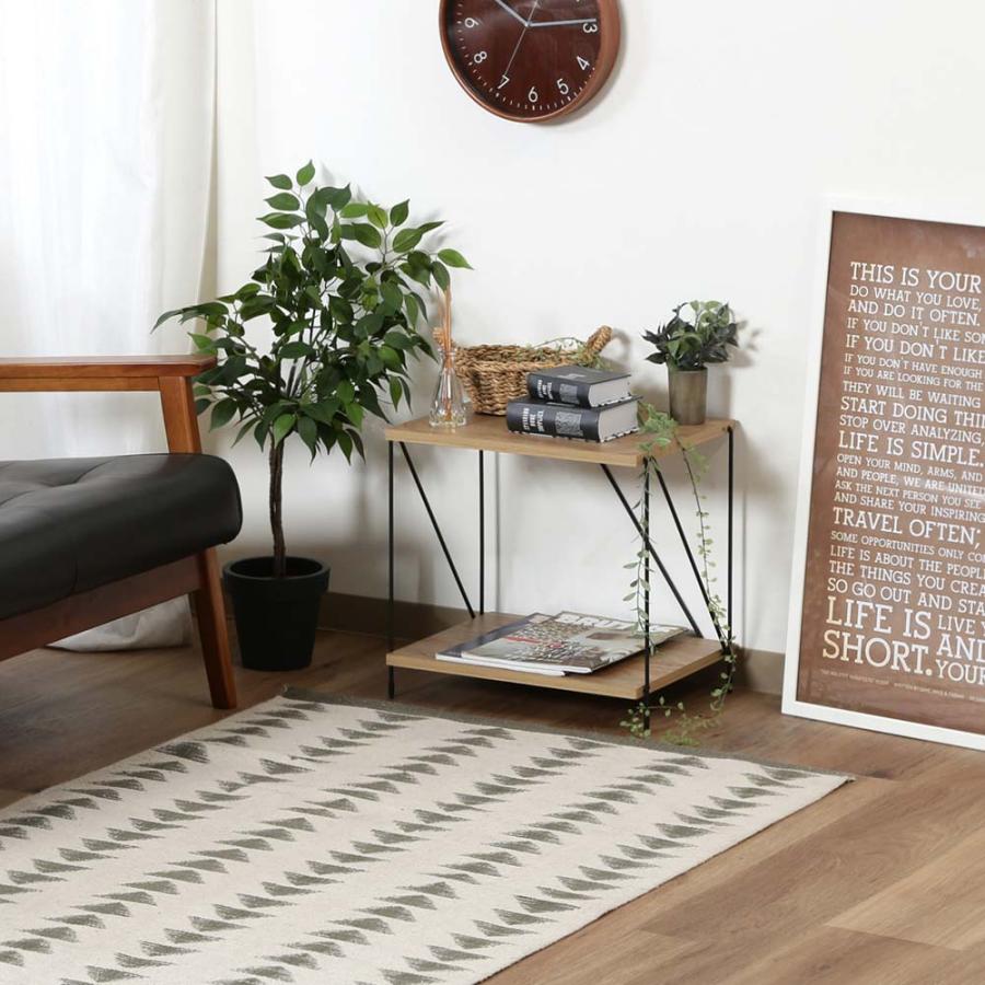 不二貿易 EZBO ワイヤーラック 2段 40幅 オークナチュラル 77558 | 不二貿易 | 06