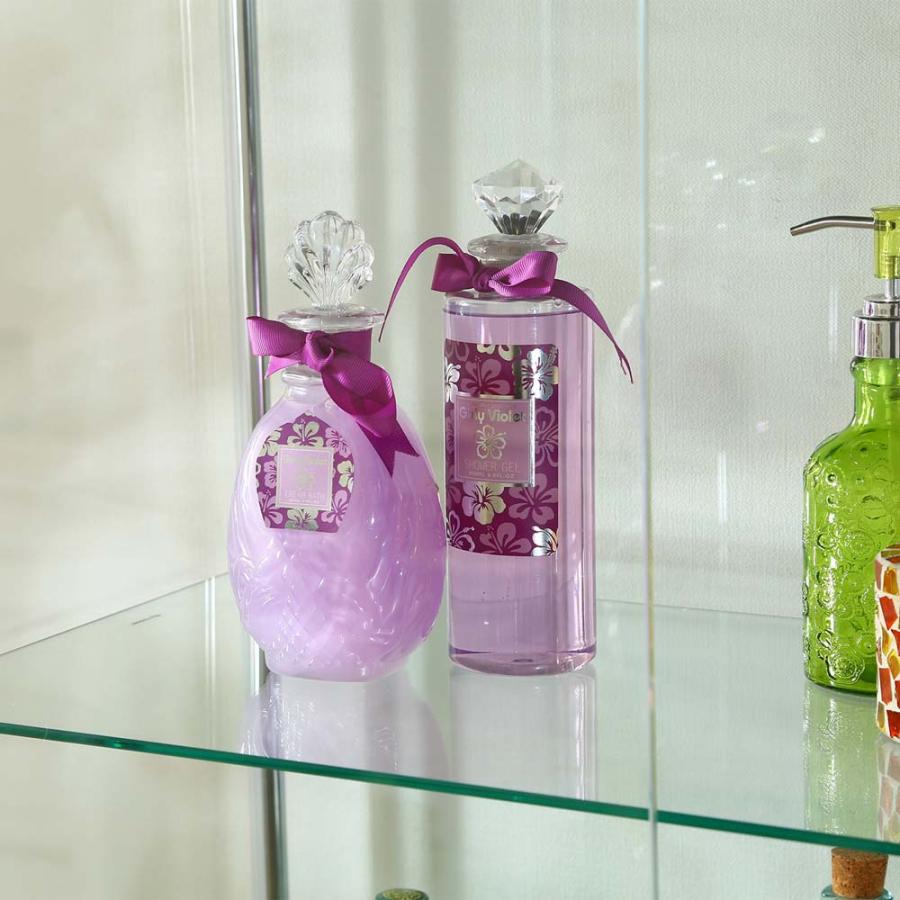 不二貿易 ガラスディスプレイケースクリア TMG-G53-1 ブラック 98882 | 不二貿易 | 05