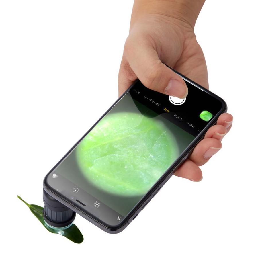 レイメイ藤井 Raymay ハンディ顕微鏡 petit ブラック RXT1142B | レイメイ藤井 | 02