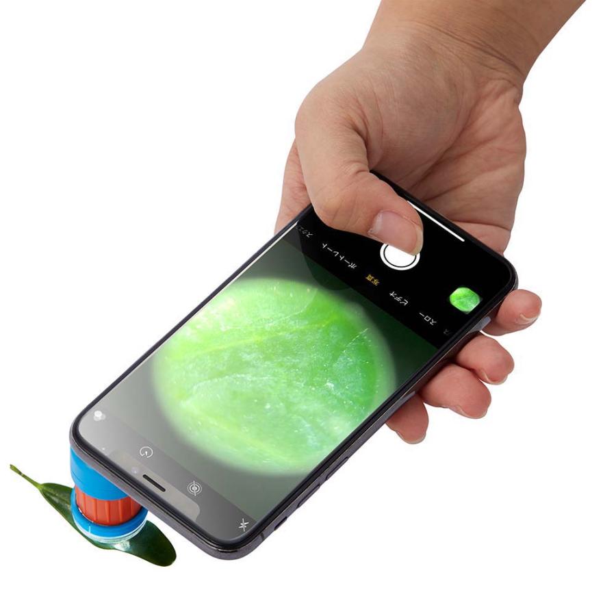 レイメイ藤井 Raymay ハンディ顕微鏡 petit ブルー RXT1142A | レイメイ藤井 | 02