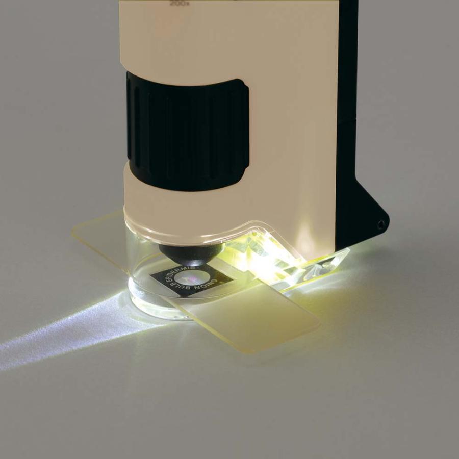 レイメイ藤井 Raymay ハンディ顕微鏡 DX ベージュ RXT1144J LED | レイメイ藤井 | 01