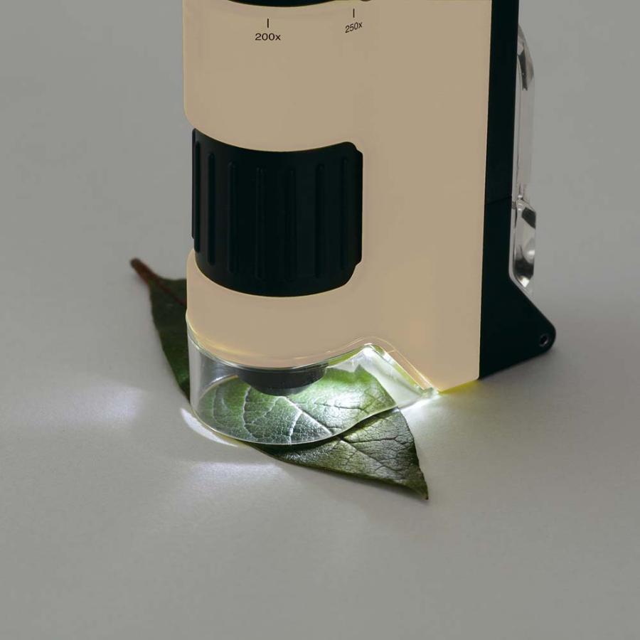 レイメイ藤井 Raymay ハンディ顕微鏡 DX ベージュ RXT1144J LED | レイメイ藤井 | 02