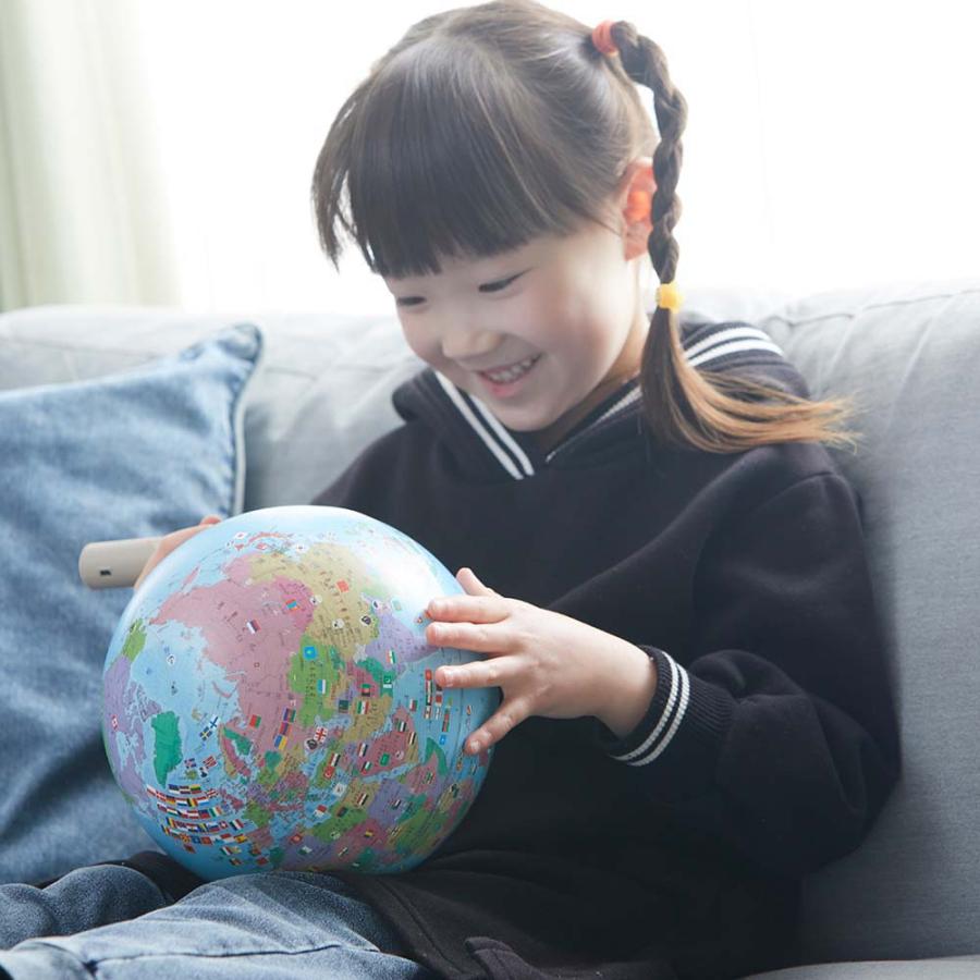 レイメイ藤井 Raymay しゃべる国旗付地球儀＆カルタ タッチミー 0YV1138 | レイメイ藤井 | 08