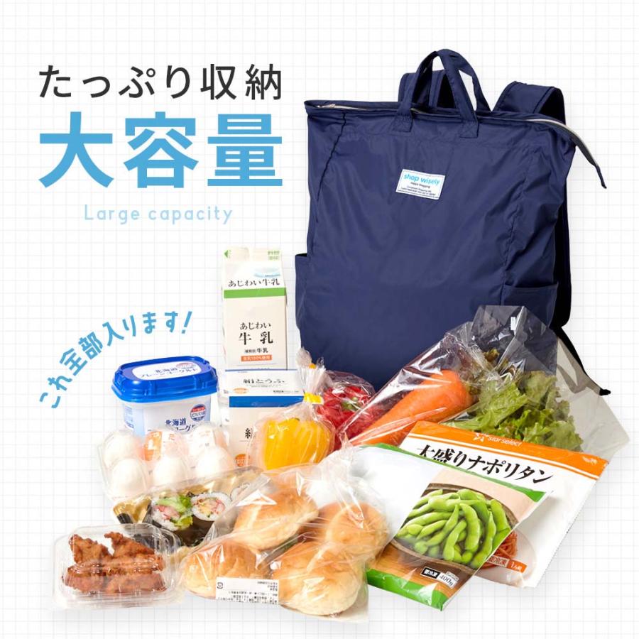 アイメディア AIMEDIA 手の平サイズに畳めるリュック NV 1009460 | アイメディア | 02