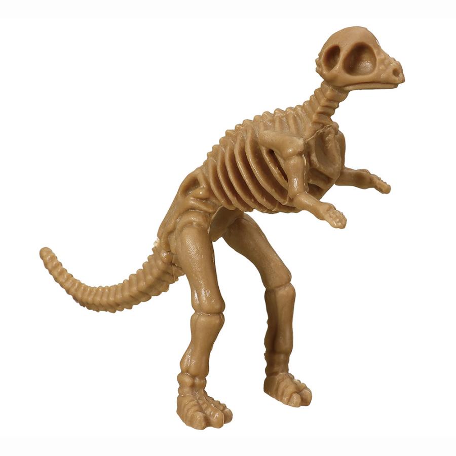 アーテック 恐竜骨格フィギュア 12体入り #11915 ジオラマ ミニチュア 模型 学習 玩具 Artec | アーテック | 03