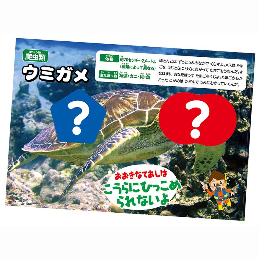 アーテック シールブック 3冊セット 動物園・水族館・食べ物 #21166 シール遊び 貼ってはがせる Artec | アーテック | 06