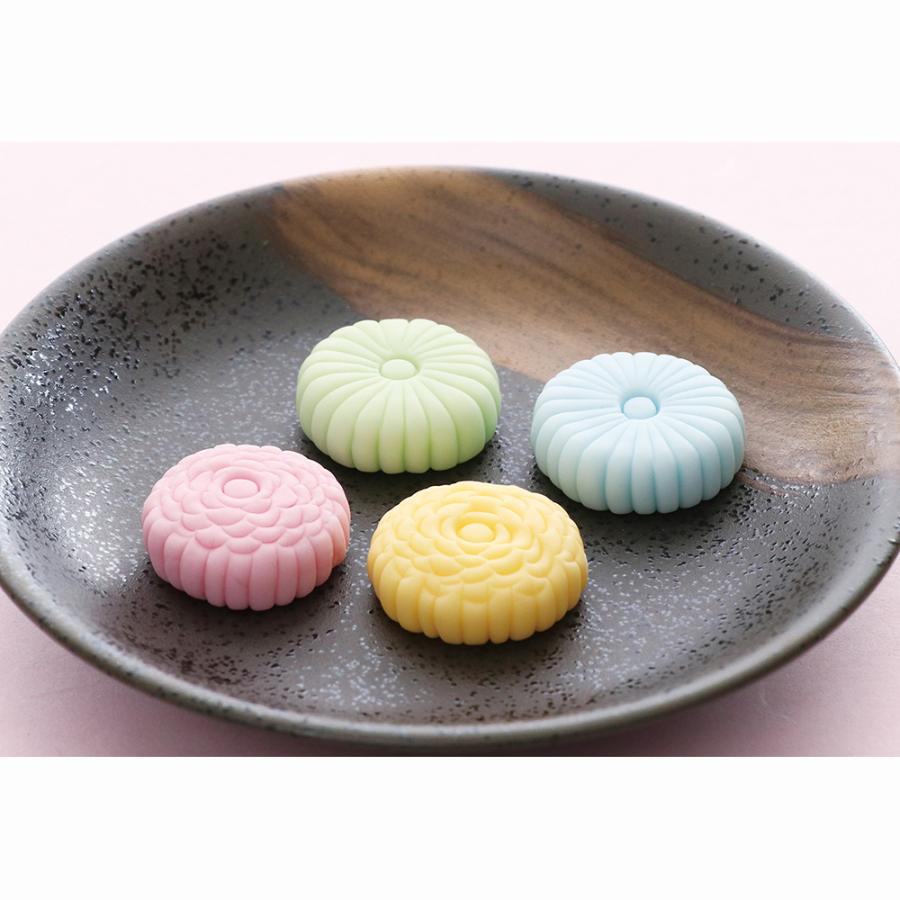 アーテック 樹脂粘土セレネでつくるフェイクフードベーシックキット #23762 半透明 作品 クラフト 工作 手作り Artec | アーテック | 02