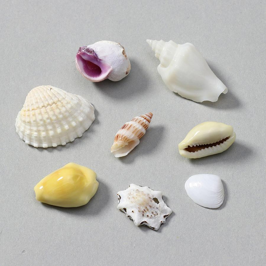 アーテック ミックスシェル10ｇ 小袋入り #47582 貝殻 工作 図工 美術 作品 クラフト Artec | アーテック