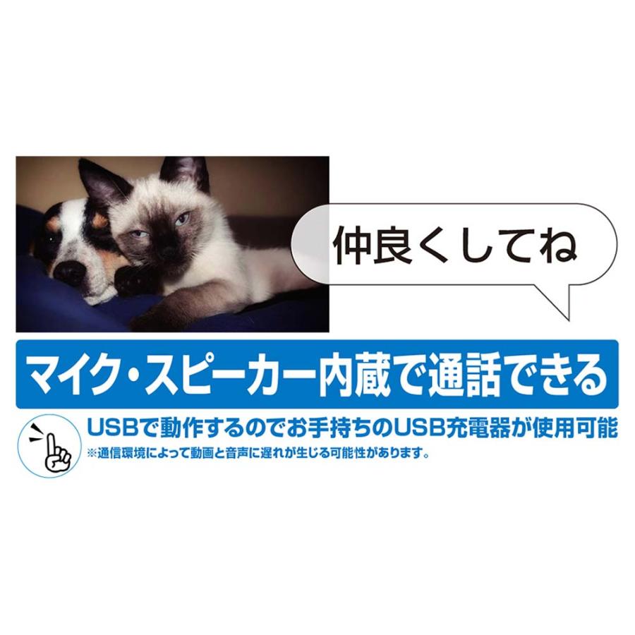 カシムラ kashimura スマートホームカメラ 首振 ホワイト KJ-182 | ブランド登録なし | 11
