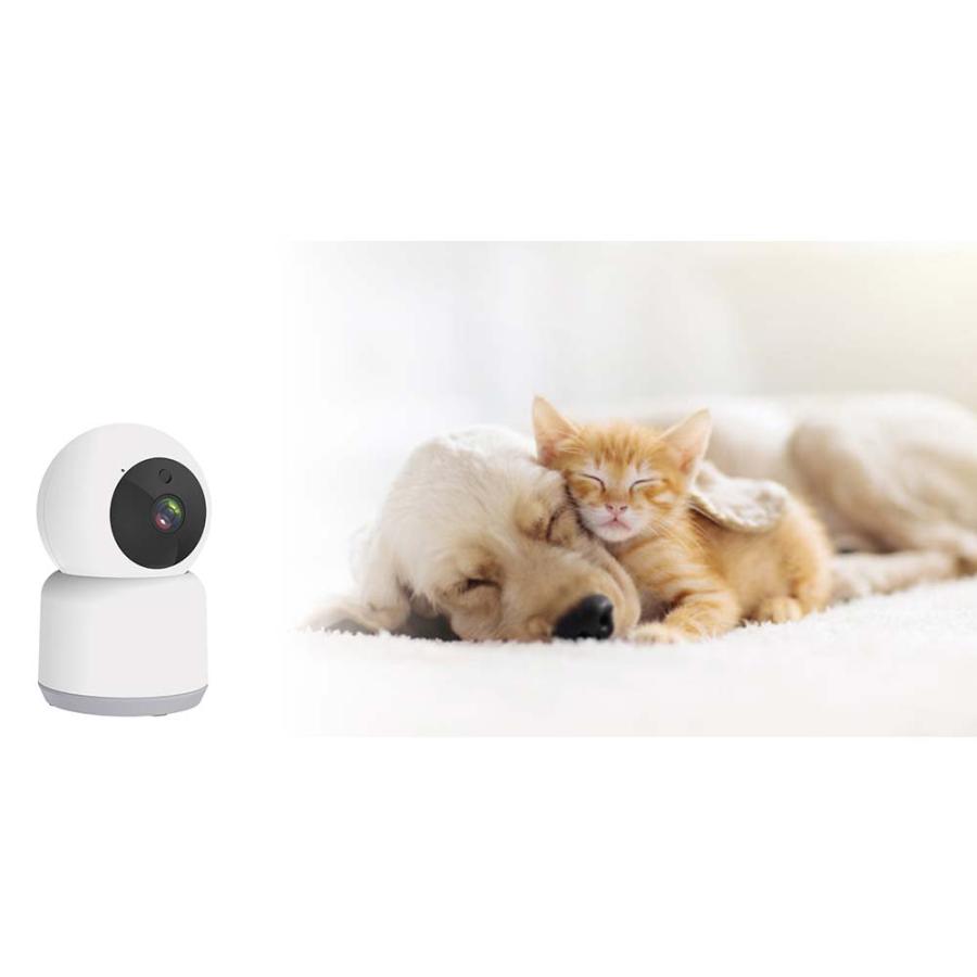 カシムラ kashimura スマートホームカメラ 首振 ホワイト KJ-182 | ブランド登録なし | 05