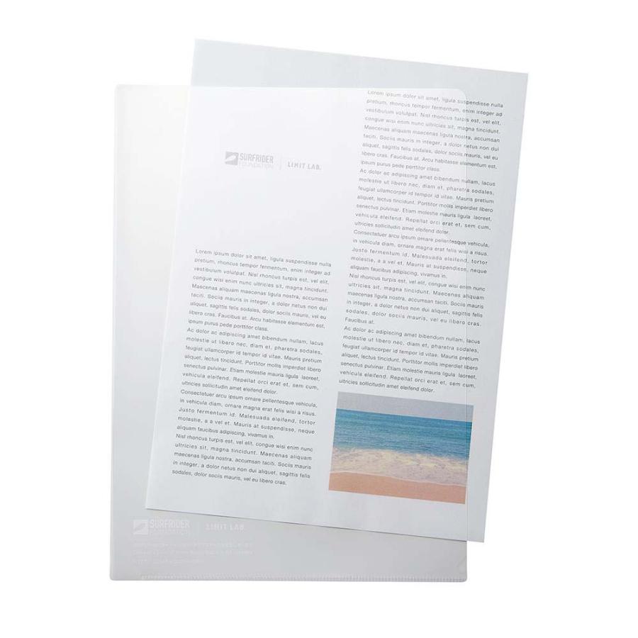 リヒトラブ LIHITLAB クリアホルダー <OBP> 100枚P A4 Aクリヤー F3270100P1 | LIHIT LAB. | 02