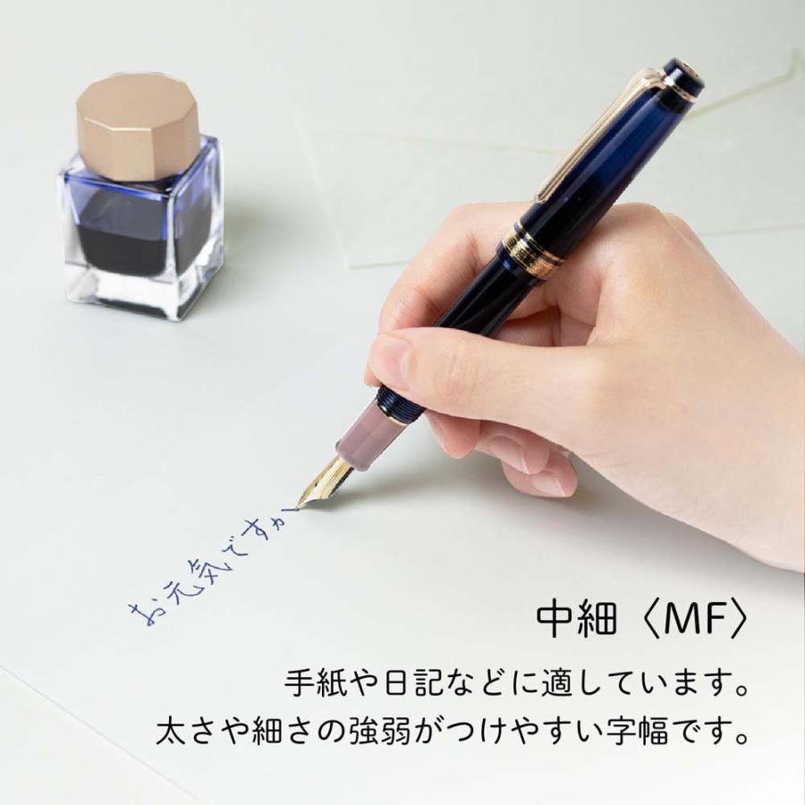 セーラー万年筆 sailor 四季織 山水 万年筆 夕燕（ゆうつばめ） 中細（MF） 四季織 万年筆 夕燕 中細 | セーラー万年筆 | 02