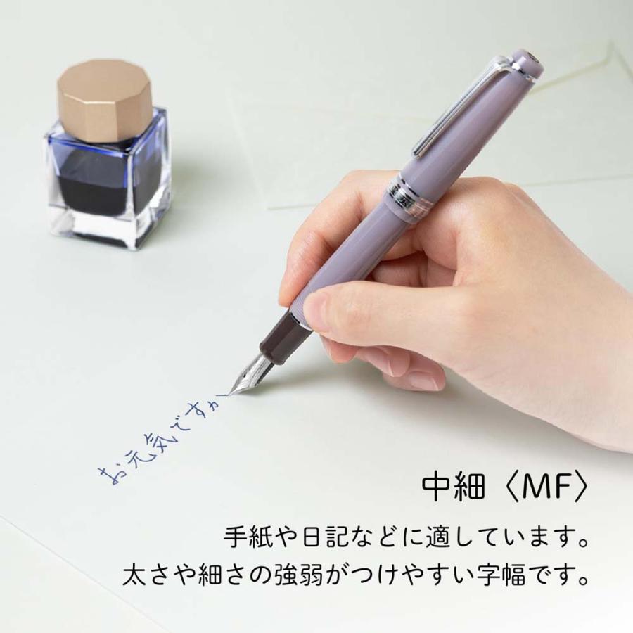 セーラー万年筆 sailor 四季織 山水 万年筆 羚羊（かもしか） 中細（MF） 四季織 万年筆 羚羊 中細 | セーラー万年筆 | 02
