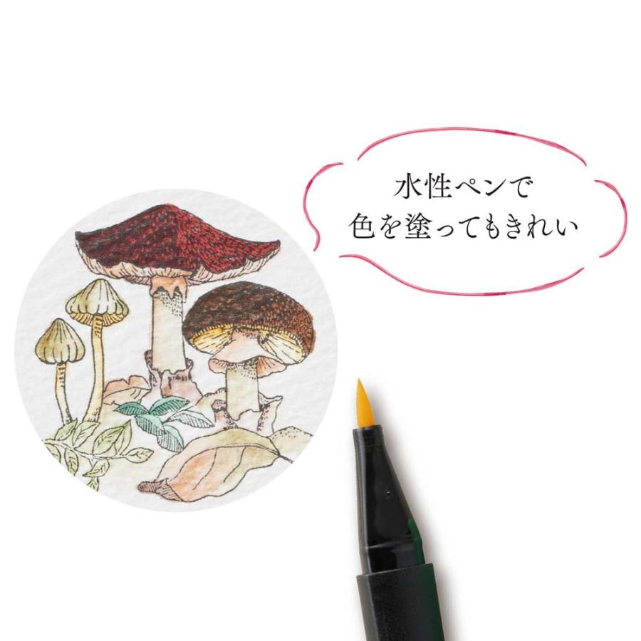 シャチハタ Shachihata ファインカラー スタンパーセット クラシック TTM-FH/S4 | ブランド登録なし | 05