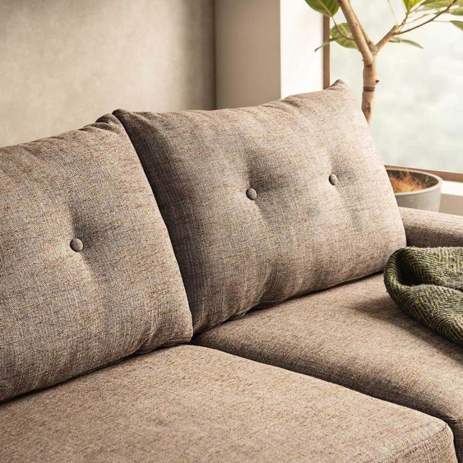 東馬 tohma FZ ケイシー 2.5人掛け ソファベット ブラウン 収納付き 54686870 | 東馬 | 03