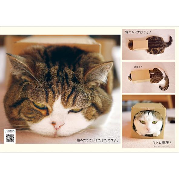 2025年 カレンダー まるちゃん 壁掛け 1000132339 猫 アートプリント