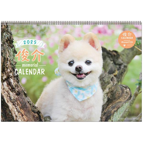 2025年 カレンダー 俊介 壁掛け 1000132341 犬 アートプリントジャパン AP | ブランド登録なし