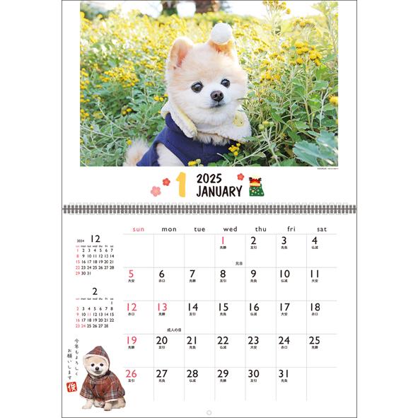 2025年 カレンダー 俊介 壁掛け 1000132341 犬 アートプリントジャパン AP | ブランド登録なし | 01